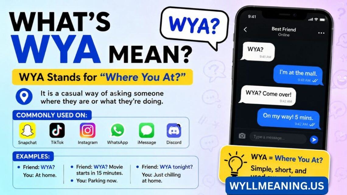 whats wya mean​