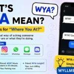 whats wya mean​