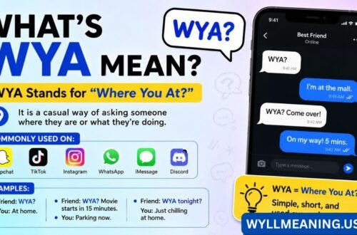 whats wya mean
