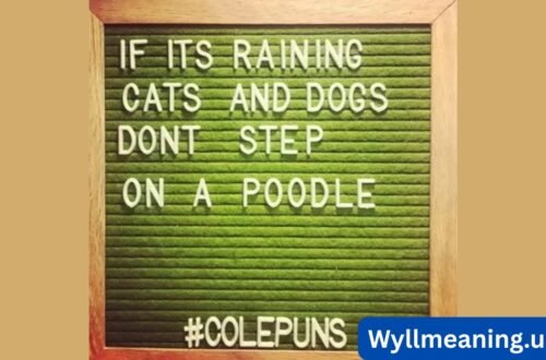 spring puns