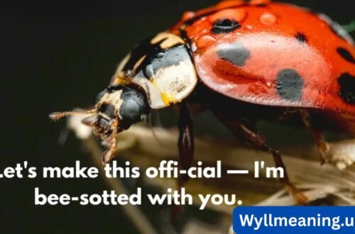 bug puns