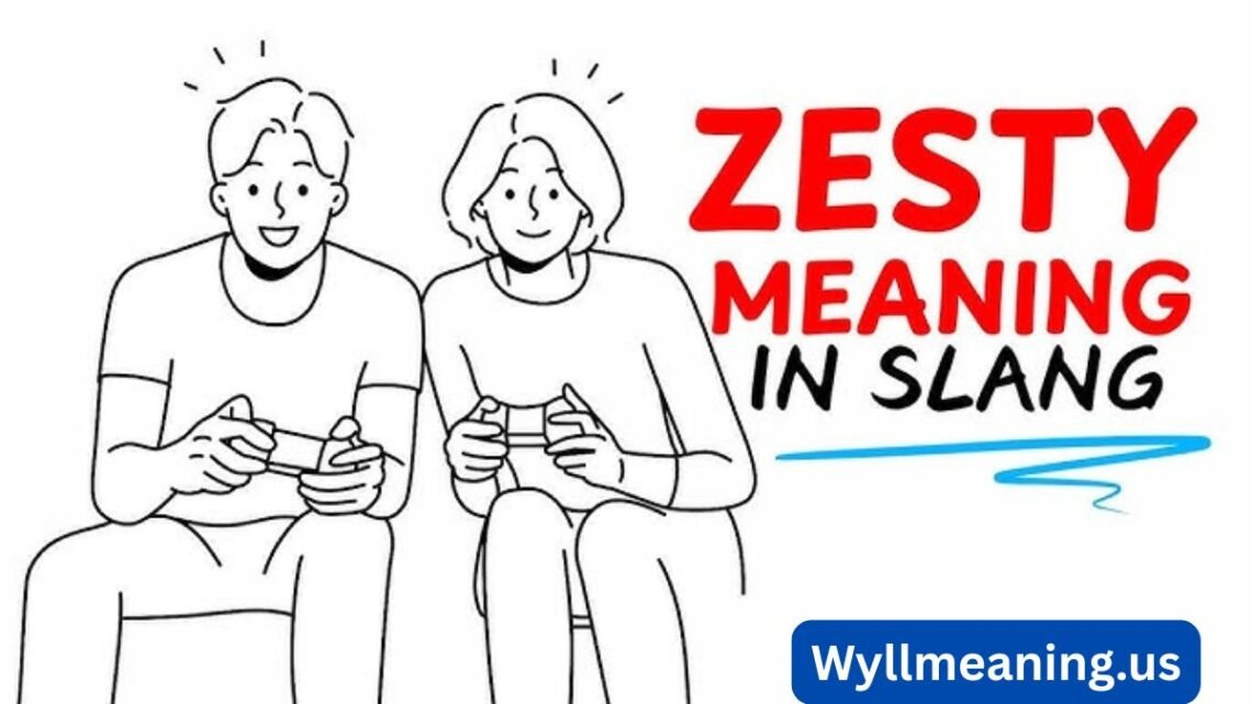 what does zesty mean