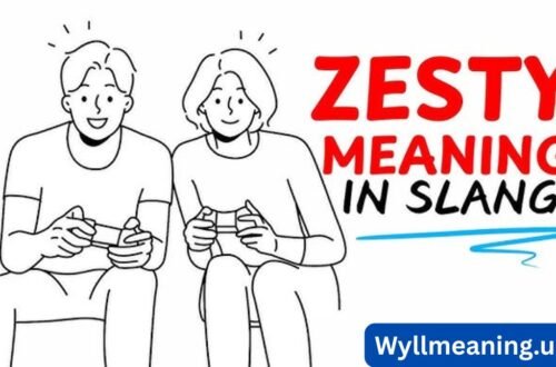 what does zesty mean