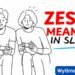 what does zesty mean
