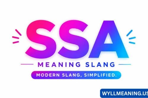 ssa meaning slang
