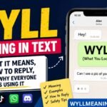 WYLL meaning in text