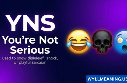 what does yns mean
