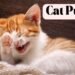 cat puns