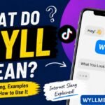 what do wyll mean