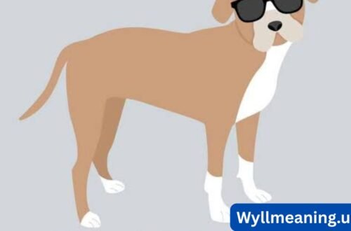 dog puns