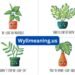 leaf puns