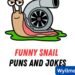 snail puns