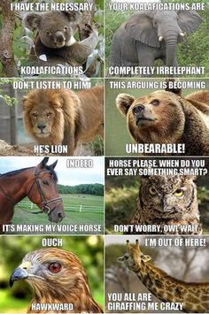 zoo puns